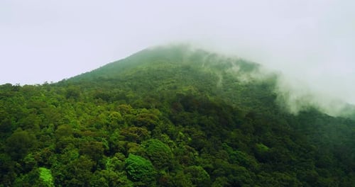 Tropical Forest Hills Covered in Morning Fog