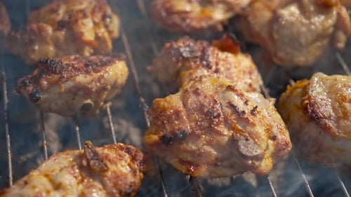 Chicken Frying on Ecological Grill Bio Chicken Thighs Grilling on Wood Smoking Coals