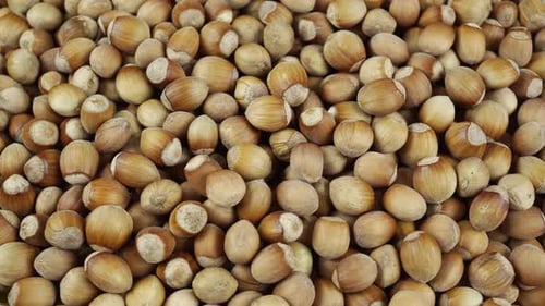 Rotating Hazelnut In Shell.