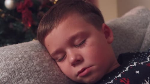 Boy Sleeping near Christmas Tree