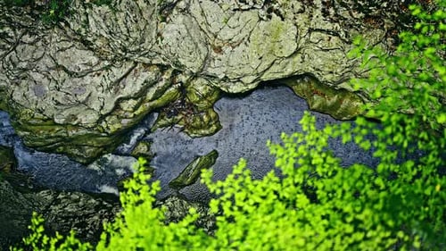 A tranquil stream flows gently between rugged rocks, surrounded by lush green foliage. top down view