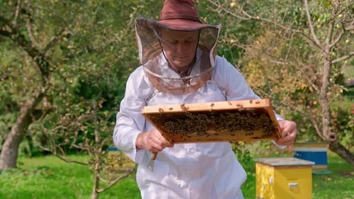 Man And Bees