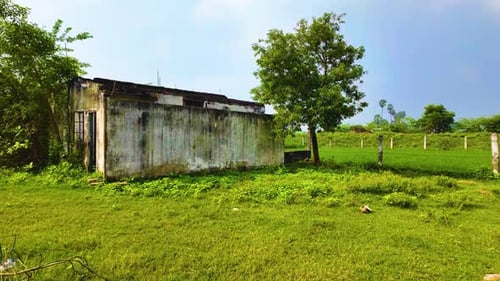 Abandoned House