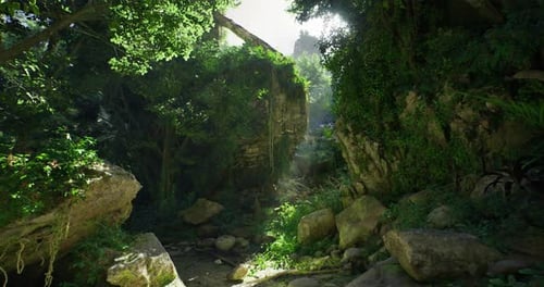 Lush Jungle Landscape Features Intricate Rock Formations in Bright Sunlight