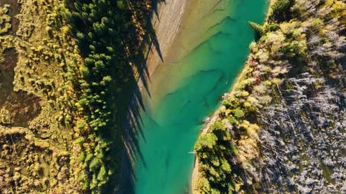 A drone view of the river in the woods. An aerial view of an autumn forest. Alberta, Canada.