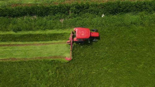 Vintage-Dorf-Traktor mäht Gras auf frischer grüner Weide als Viehfutter