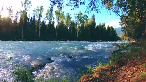 Meadow at Mountain River Bank