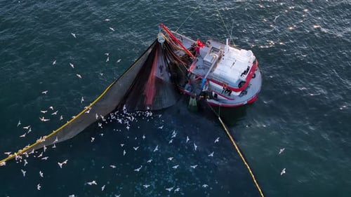 Fishing Ship Gathering Its Nets