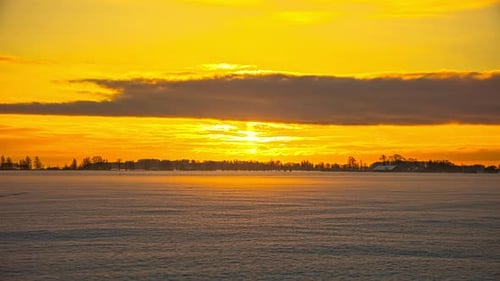 Malerische Winterlandschaft mit blattlosen Bäumen und mystischem Nebel bei goldenem Sonnenuntergang im Hintergrund