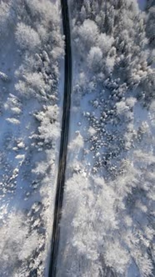 Scenic Road Through a Snowy Winter Mountain Forest