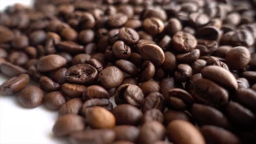 Close up of seeds of coffee 05