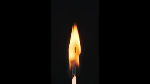 Vertical Matchstick Ignites and Burns on a Black Background CloseUp