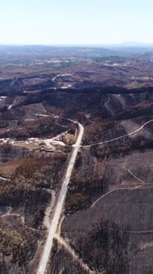 Vertical Video of Road and Burning Forest