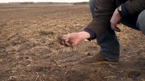 Caucasian farmer inspecting rich soil in rural farm field with dedication