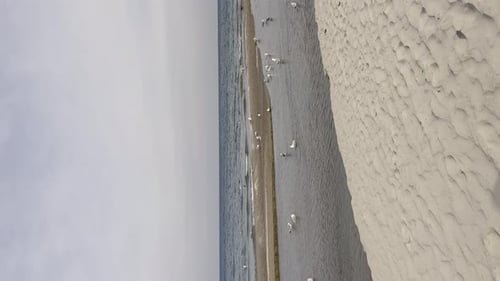 Seagulls Flying Over Baltic Sea Dark Blue Clouds and Sea or Ocean Water Surface with Foam Waves
