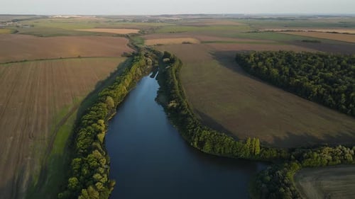 Aerial Panoramic View on the River Among Agricultural Fields Drone Flies Forward
