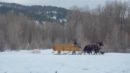 Horse and Carriage Winter Journey