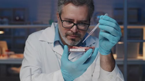 Scientist Examining Lab-Grown Meat in Petri Dish