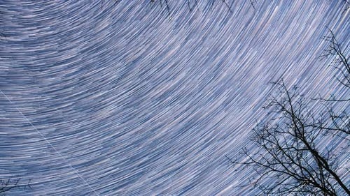 Hellblaue kosmische Konzeption, Hyperlapse, Spinspuren von Sternen über Baumkronen ohne Laub