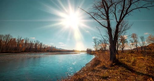Mountain River Timelapse at the Summer or Autumn Day Time Wild Nature Clear Blue Water and Dry Trees