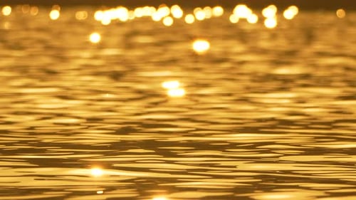 Golden Sunlight Reflects on Rippling Water Surface