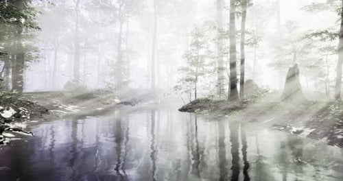 Mysterious Fog Envelops a Tranquil Forest Stream Filled with Soft Sunlight