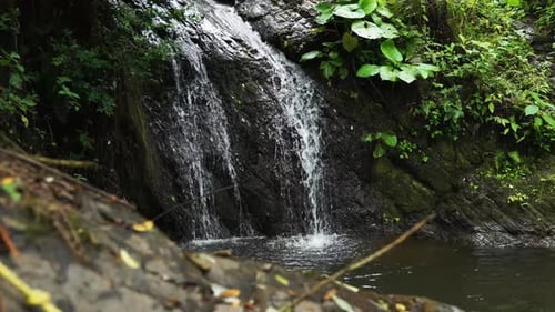 Small Waterfall on Side of Body of Water in Rain Forest
