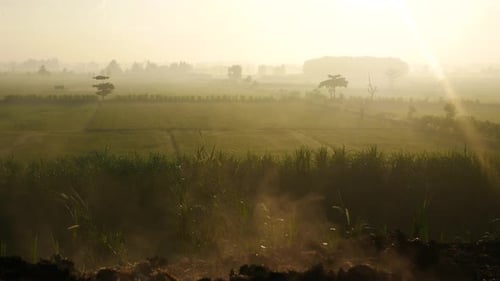 lever de soleil chaud