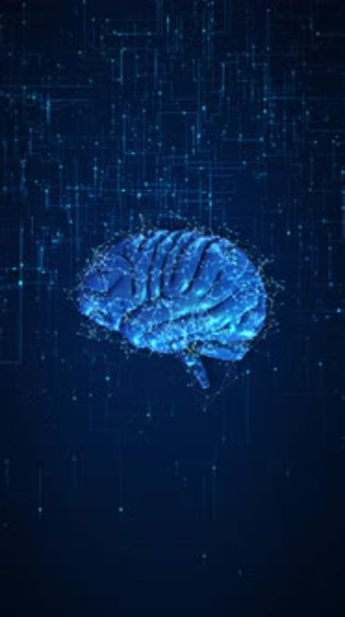 Digital Brain Data Streams Human Mind Advanced Technology Brain Circuits Binary Data Streams
