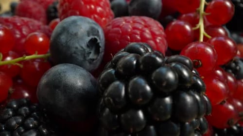 Vibrant Assortment of Fresh, Ripe Berries