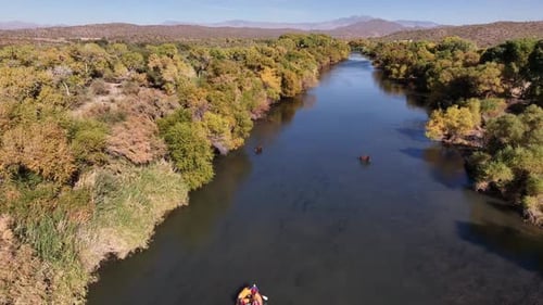 Aerial view of Salt River and mountains with wild horses, United States.