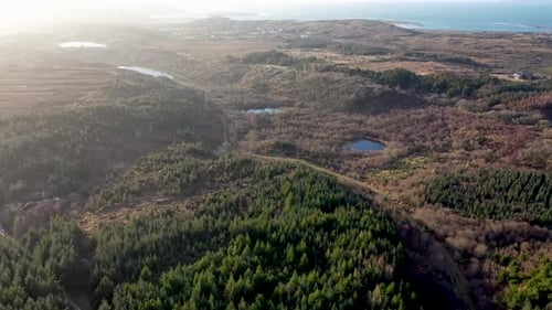 O reflorestamento continua em Bonny Glen, no condado de Donegal, Irlanda