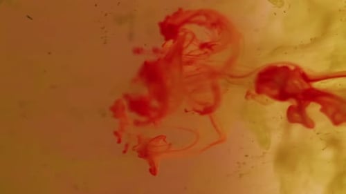 Swirls of Red Ink Mixing in Watery Liquid