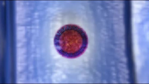 Vibrant microscopic view of a cell with colorful spiral structures