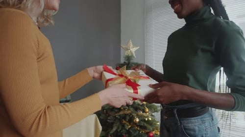 Women Exchanging Christmas Gift In Cozy Setting