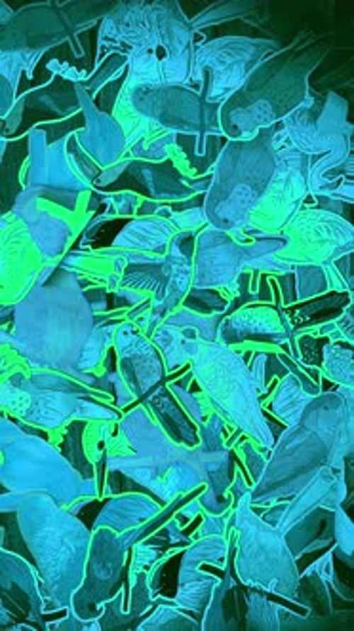 Abstract Neon Birds Ascending Vertical Animation