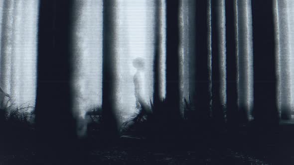 Aliens In Forest Distorted Analogue Footage, Backgrounds Motion ...