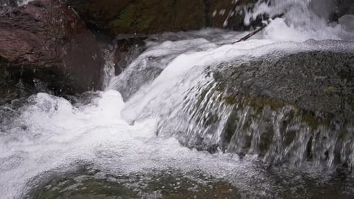 A Stormy Stream of a Mountain Stream Flows Through the Stones Pure Water in a Mountain Stream is