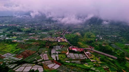 Aerial view of colorful agricultural rice fields and patchwork valley at Bukit Selong in Lombok