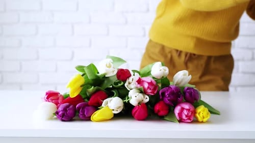 Adult Arranging a Colorful Tulip Bouquet