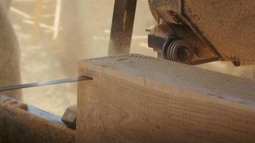 Watch As Workers at the Sawmill Cut Through the Forest with Their Powerful Saws Transforming Wood