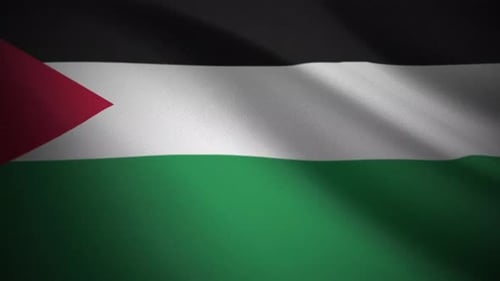 Waving Palestinian Flag Realistic Animation