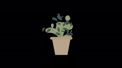 Animated Potted Plant Growing