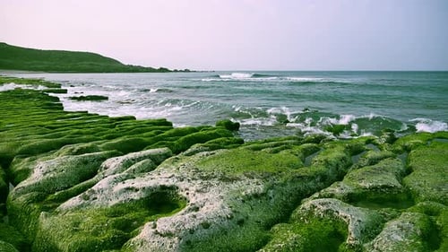 Vibrant green moss covered tidal rocks with ocean waves at Laomei Taiwan coast.