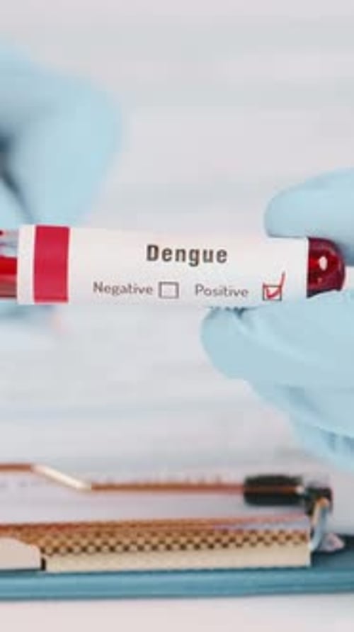 Dengue Virus Blood Test Positive Result