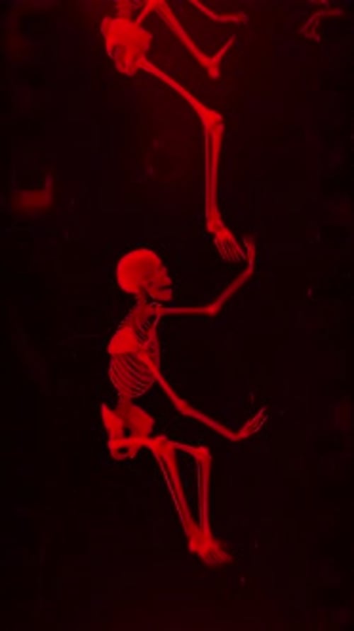 Skeleton Crawl Loop 01