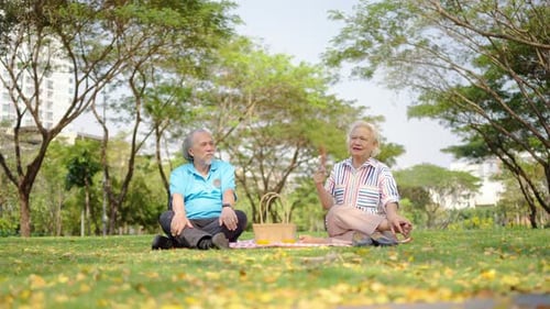 Senior Couple Enjoying a Picnic in Green Park