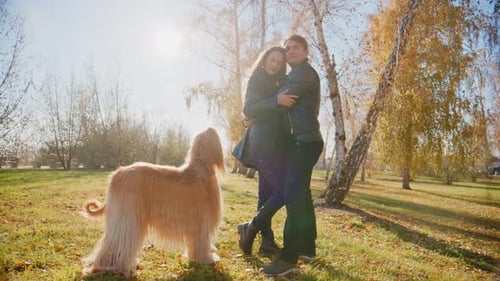 Joyful Moments A Couple Embracing in a Sunlit Park Surrounded By Trees and Their Beloved Dog