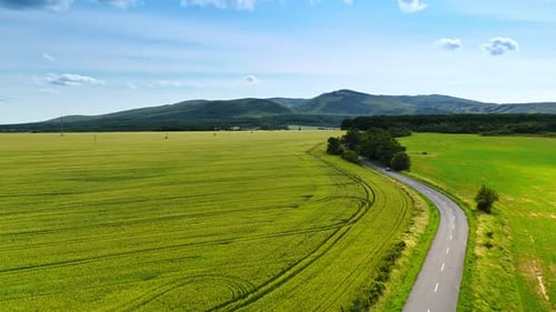 Winding road through green fields. A winding road cuts through vibrant green fields under