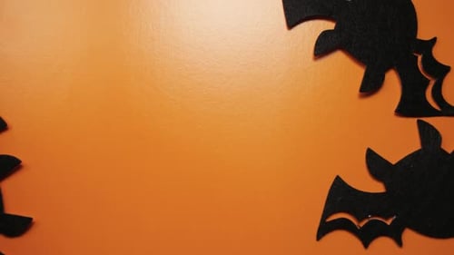 Flat Lay of Bats on Orange Surface